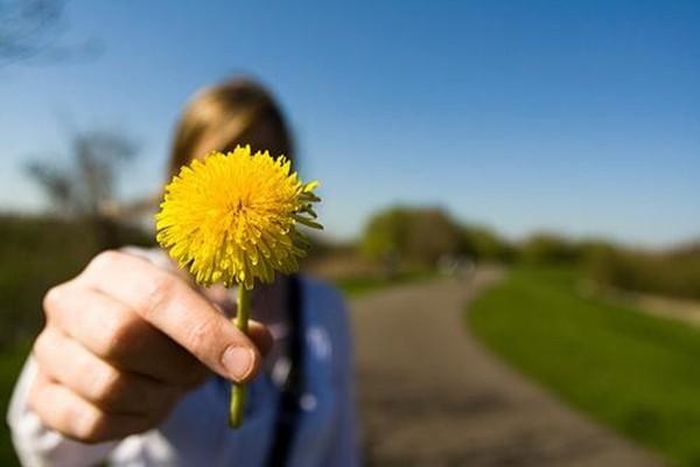Chìa khóa để tìm thấy hạnh phúc nằm ở việc trao tặng hạnh phúc.