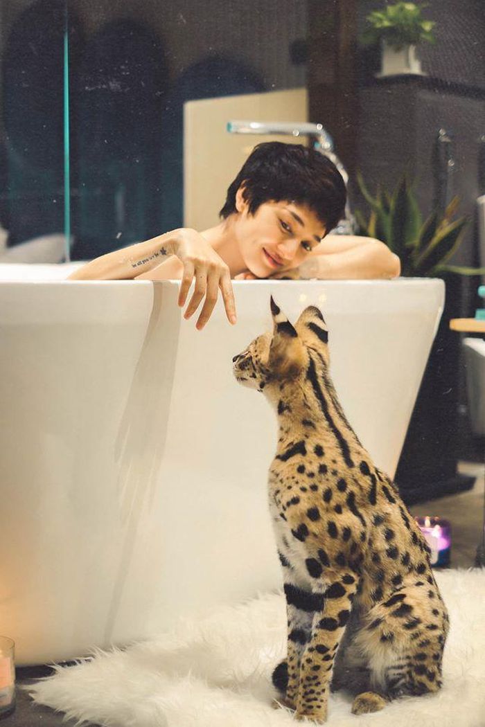 Có thể thấy, dù đang trong thời gian 15 ngày cách ly xã hội, nữ ca sĩ "Như lời đồn" không hề tỏ ra nhàm chán, còn rất tận hưởng không gian riêng tư và thư thái bên mèo cưng Cartier.