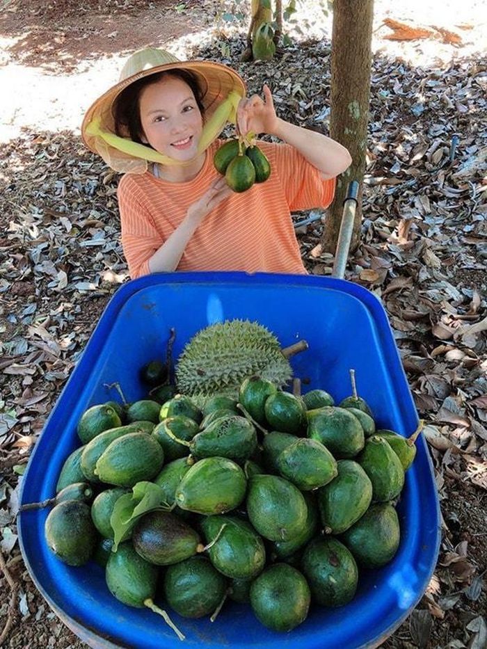 Lý Nhã Kỳ khiến người hâm mộ thích thú khi diện đồ giản dị, đội nón lá đi thu hoạch nông sản tại nông trại 50 ha ở Đà Lạt. Cô cho biết: “Những ngày làm nông trong tinh thần cùng đất nước chống dịch. Mỗi khoảnh khắc cảm nhận hạnh phúc khác nhau”.