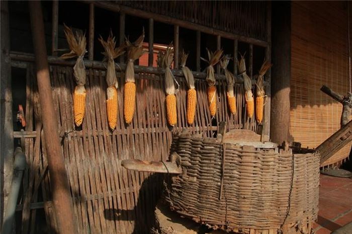 Dụng cụ xay ngô và ngô được buộc thành túm và treo bên hiên nhàkhiến chúng ta dễ liên tưởng đến những ngôi nhà vùng cao Tây Bắc.