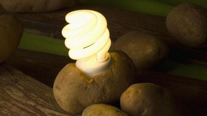 Thắp sáng bóng đèn nhờ nguồn điện áp thấp từ khoai tây
