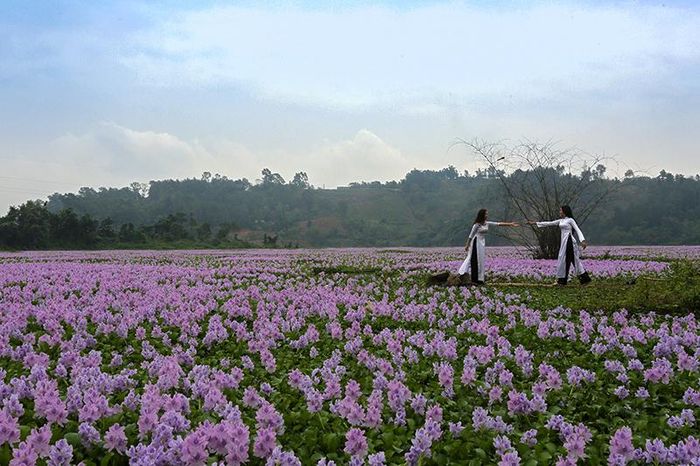 Cảnh sắc lãng mạng cho ta có cảm giác đang ở miền Tây - vùng sông nước.