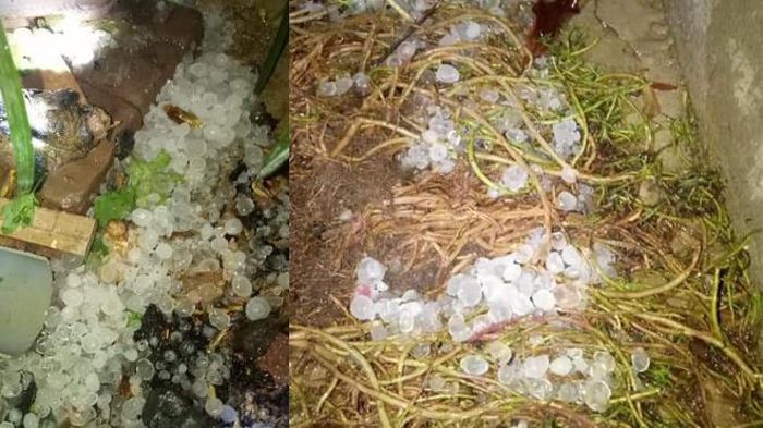 Mưa đá ở huyện Thuận Châu.