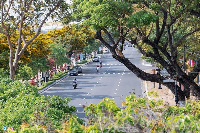 Loài hoa này còn có tên là hoa hương vườn. Cây có đặc điểm tán rộng, dễ nhân giống, tăng trưởng nhanh ở các năm đầu. Trước đây, sưa vàng mọc tự nhiên, người dân trồng trong vườn lấy gỗ làm củi, có những cây sưa cổ thụ đến 300 năm tuổi. 