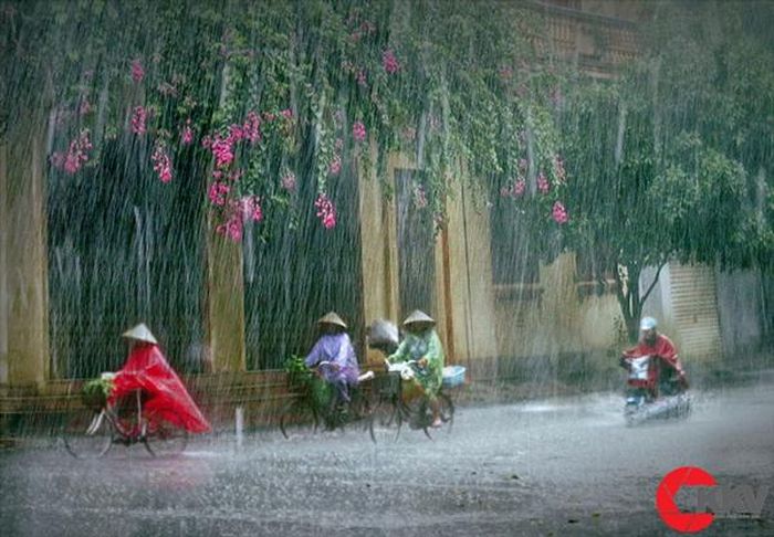 Ảnh minh họa.