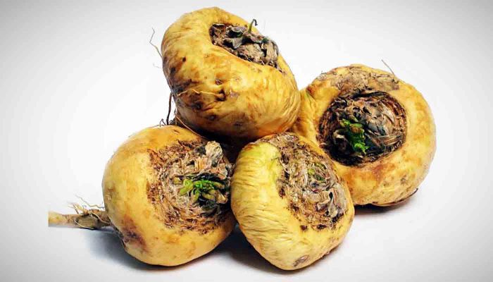Sâm Maca - thảo dược quý hiếm giúp tăng cường sinh lý nam giới (ảnh minh họa)