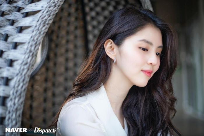 Han So Hee sinh năm 1994. Cô gia nhập showbiz với tư cách là một người mẫu. Nhờ sở hữu lợi thế ngoại hình, cô nhanh chóng trở thành “nàng thơ” của nhiều thương hiệu thời trang, mỹ phẩm. Người đẹp thường xuất hiện trên các trang bìa tạp chí, đóng quảng cáo cũng như góp mặt trong một số MV ca nhạc của SHINee, Jung Yong Hwa, Roy Kim…