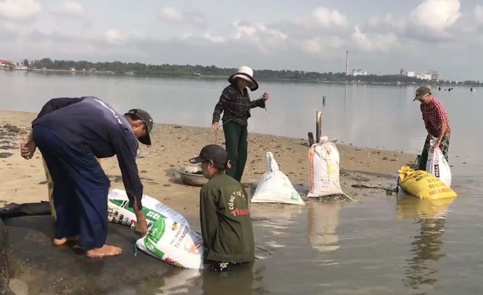 Rong câu được chuyển từ thuyền lên bờ để người dân lựa rác