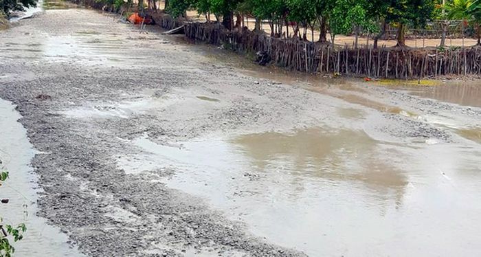  Đất bùn, cát được bơm vào, lắp theo từng vị trí lòng kinh ven chân đê.