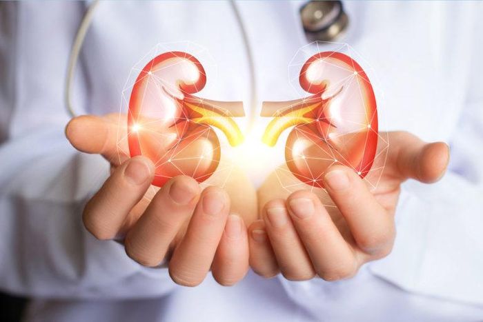 Thận của bạn có khỏe hay không là nhờ vào bạn