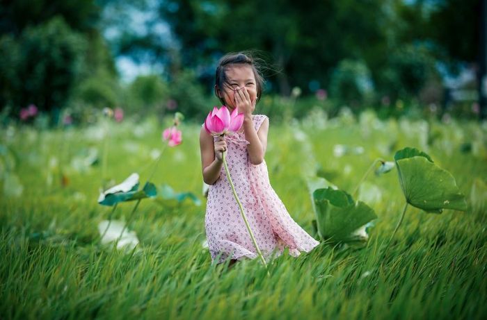  Rời xa phố Huế mộng mơ, trên những miền quê thanh bình, hoa sen cũng được trồng xen kẽ ở các cánh đồng lúa chín vàng. Trong những năm gần đây, hoa sen được trồng ở nhiều nơi như La Chữ, Hương Vinh, Quảng Điền... Ảnh: Hue, truly Vietnam. 