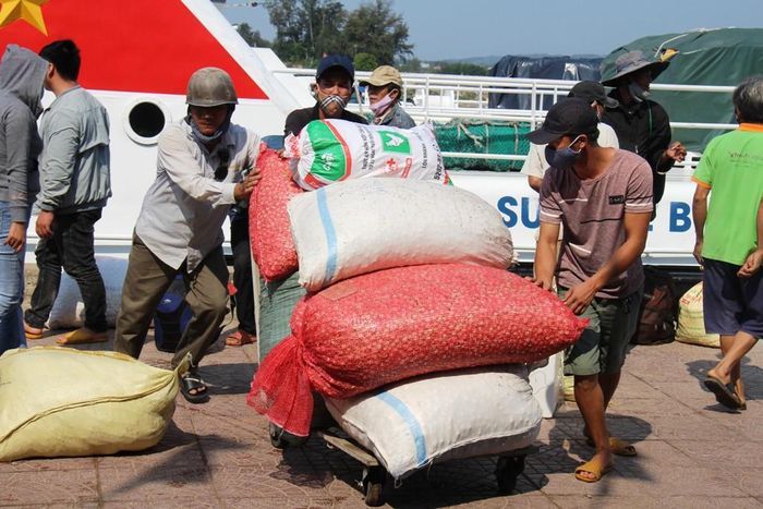 Đặc sản tỏi Lý Sơn cũng theo tàu vào đất liền tiêu thụ. Ảnh: Nguyễn Ngọc
