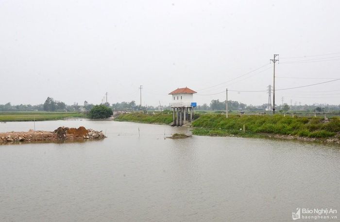 Nguồn nước cống Rào Đừng ô nhiễm. Ảnh: Thanh Lê