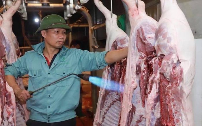 Nhân viên giết mổ tại Công ty CP nông nghiệp An Tâm (xã Lương Sơn, huyện Yên Lập) làm sạch thịt lợn trước khi xuất bán
