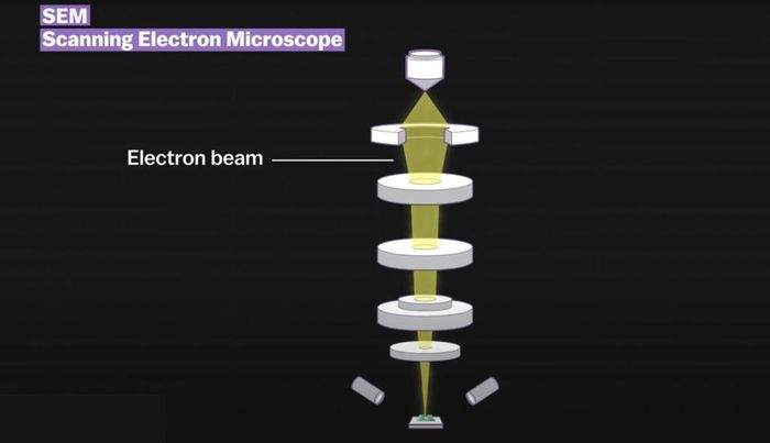  Có 2 loại ảnh từ kính hiển vi điện tử. Ảnh SEM phát chùm tia electron, sau khi chạm vào vật thể sẽ ghi nhận bề mặt của chúng. Hình ảnh thu lại cho thấy hình dáng, khoảng cách của các chi tiết bên ngoài vật thể. Ảnh: Vox. 