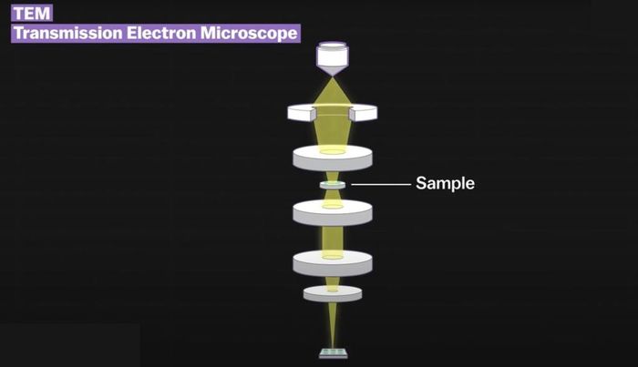  Loại ảnh thứ hai là TEM. Trong những bức ảnh TEM, chùm electron sẽ được bắn xuyên qua vật thể. Từ đó, chúng ta phần nào tái hiện được cấu trúc bên trong của chúng. Ảnh: Vox. 