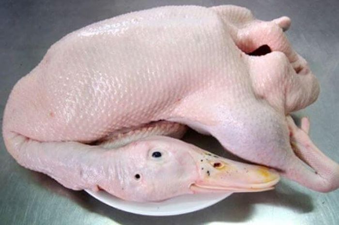 Cách khử mùi hôi ở vịt