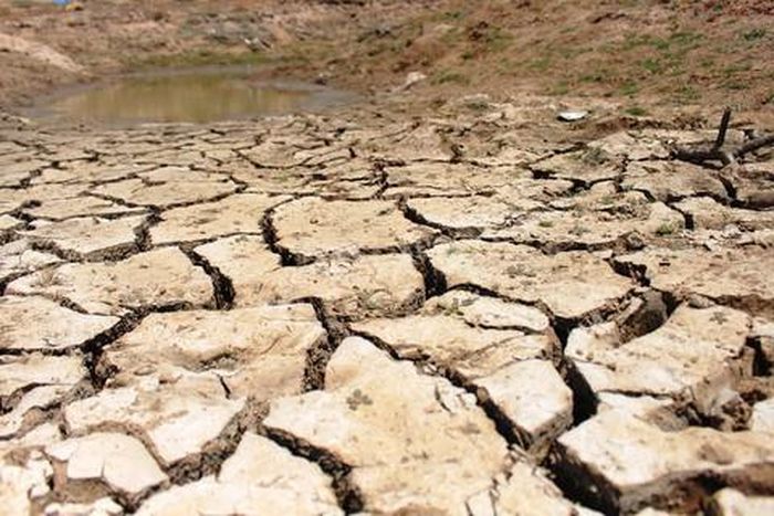 Một vũng nước ít ỏi còn sót lại ở lòng hồ Ông Kinh
