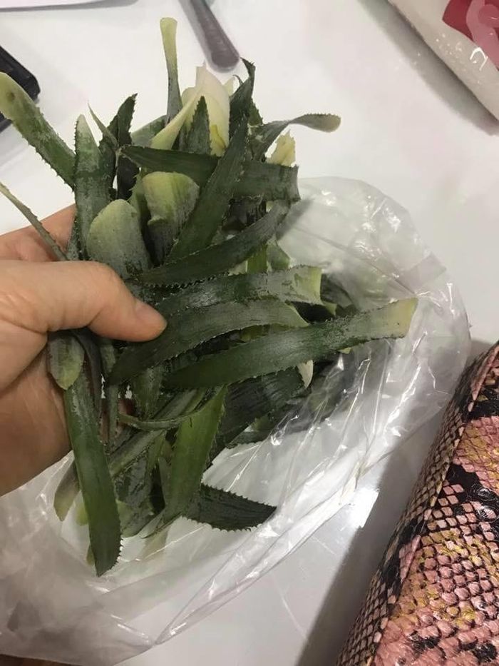 Nhờ chồng đi mua lá nếp về thổi xôi nấu chè thì chồng mang về túi lá dứa. Đã thế còn hăm hở khoe được người bán tặng miễn phí.