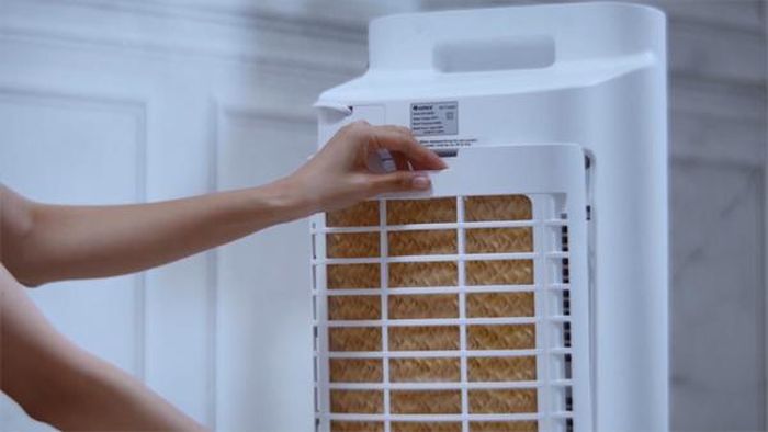  Tấm tản nhiệt gỗ sồi với khả năng kháng khuẩn độc đáo.