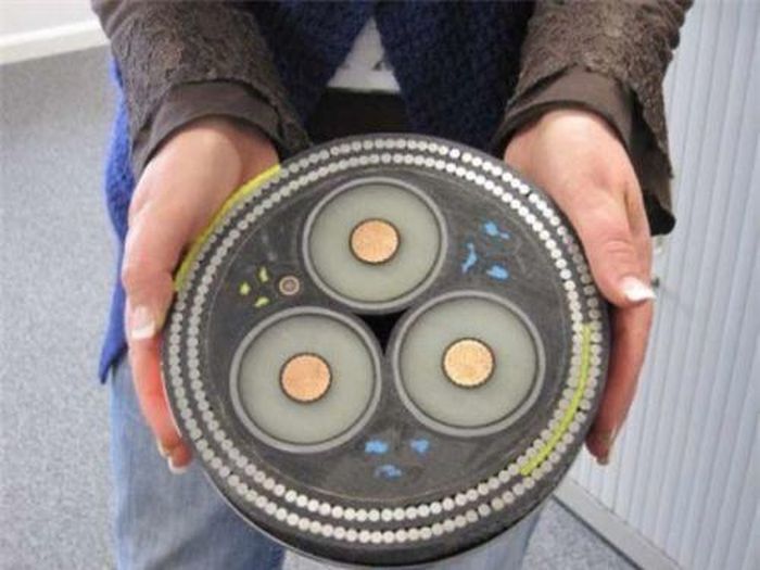 Lát cắt ngang của cáp quang biển.