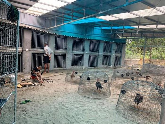 Trong khi Mao Ca sở hữu căn biệt thự sang trọng thì Mao Đệ cũng có một trang trại gà rộng lớn và đang trong quá trình xây căn biệt thự của mình.