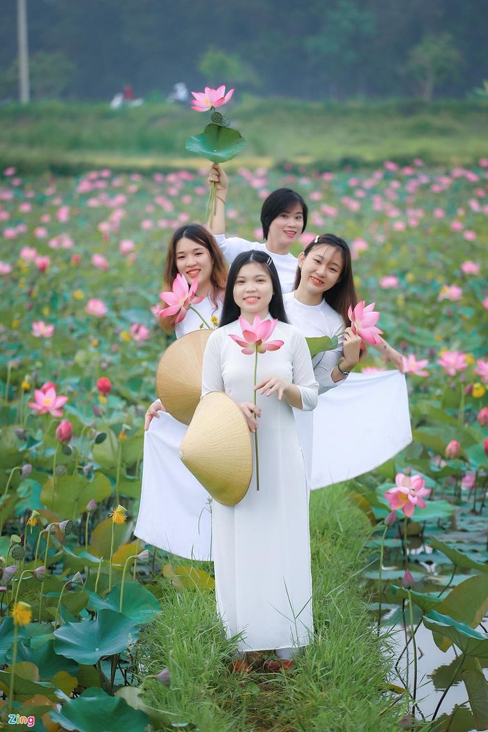 "Mình thích cảm giác đi giữa một con đường làng quanh co trải dài mà bên này là ruộng lúa chín vàng nặng trĩu, bên kia là một vườn sen hồng đang vươn cao khỏi những lá sen xanh thắm, nhìn lên cao là khoảng không bao la của mây trời. Giống như bức tranh đẹp nhiều sắc màu", Hồ Thủy (Đà Nẵng) cho biết.