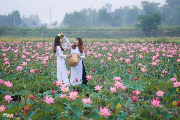"Mỗi lần chụp với sen, tôi lại mang trong mình nhiều cảm xúc, những kỷ niệm của ngày thơ bé khi cùng mẹ ra đồng hay cùng lũ bạn tụ tập câu cá, thả diều bên cánh đồng sen", Thân Thu Hương chia sẻ. 