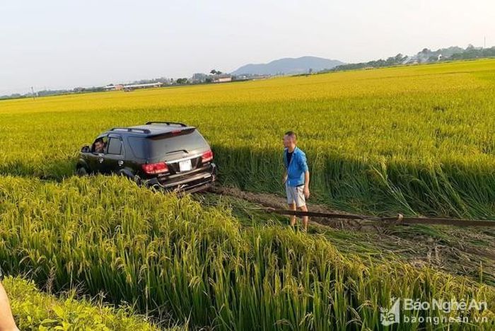 Chiếc xe con lao xuống ruộng lúa bên phải đường. Ảnh: Huy Thư