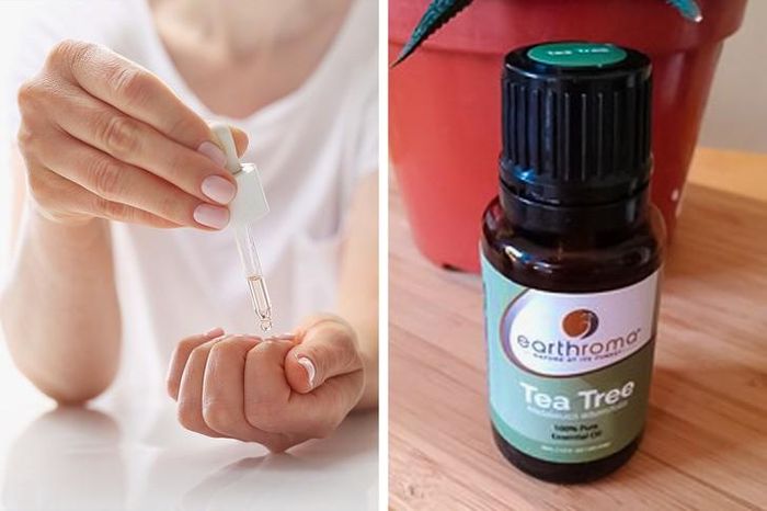Tinh dầu tràm trà không chỉ có tác dụng trong việc điều trị mụn mà còn có thể giúp móng tay khỏe hơn nhờ có tính kháng viêm, chống nấm móng. Thoa trực tiếp sản phẩm lên tay hoặc thấm vào bông tẩy trang và đắp lên tay trong vài phút.