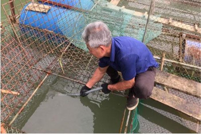 Ông Bế Thành Đông, Chủ nhiệm Hợp tác xã cá lồng Pác Đa, xã Độc Lập chia sẻ về kinh nghiệm nuôi cá lồng. Ảnh: Kông Hải.