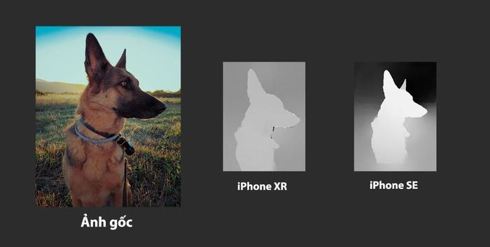  iPhone SE 2020 có thể xây dựng một "bản đồ" tái hiện độ sâu chi tiết hơn iPhone XR, nếu chụp lại một tấm ảnh. Ảnh: Halide. 