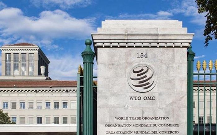 Ảnh: WTO.
