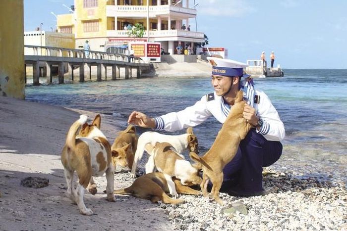 Mỗi chú chó trên đảo đều có chiến sĩ chăm nuôi riêng theo phân công, nhưng mọi người thường xuyên cho ăn uống và yêu quý vật nuôi chung này. Người cũ về lại bàn giao cho người mới nuôi.