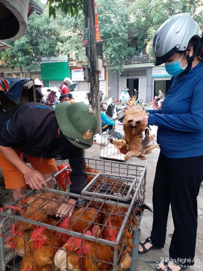 Gà thịt được tiêu thụ mạnh tại các chợ trên địa bàn TP Vinh. Ảnh: Thanh Phúc