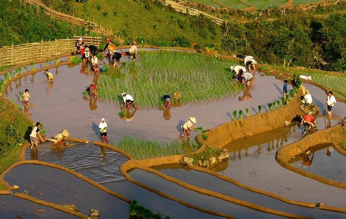 Ruộng bậc thang mùa nước đổ cũng là một sản phẩm du lịch độc đáo.
