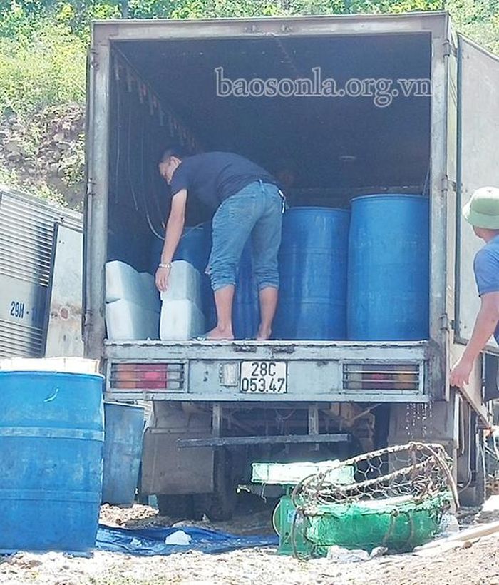 Mỗi ngày, anh Phí Hải Vân cung cấp hàng tạ cá cho các tiểu thương.