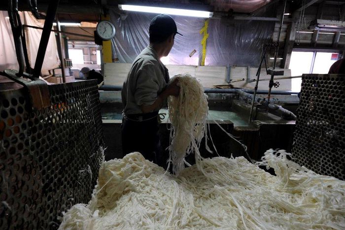  Một công nhân đang bỏ các sợi kozo ngâm trong bồn chứa nước và neri - loại chất lỏng nhớt đặc có nguồn gốc từ totoro-aoi, còn được biết đến với tên gọi hoa bụp mì. Ảnh: Kazuhiro Nogi. 