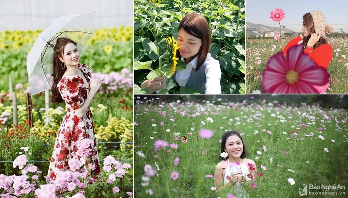 Cánh đồng hoa trải dài, rực rỡ sắc màu được bố trí xen lẫn với các tiểu cảnh: xích đu, nhà chòi, đồi chong chóng hứa hẹn cho du khách tham quan chụp những bức hình cực kỳ thơ mộng, đẹp mắt. Ảnh: Thanh Phúc