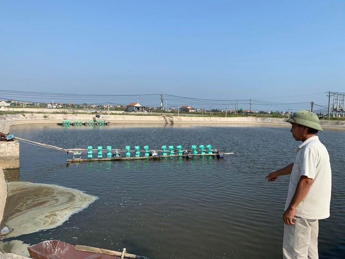  Trên diện tích 4.600m2, gia đình ông Nguyễn Khắc Vinh chủ yếu nuôi tôm thẻ trắng. Tuy nhiên hơn một tháng nay, tôm đồng loạt chết, thiệt hại hàng trăm triệu đồng.