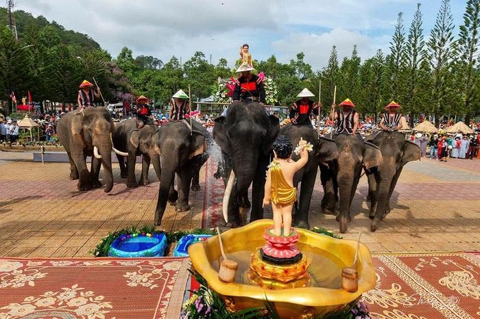 Các ngài Voi đảnh lễ và cùng tắm Phật