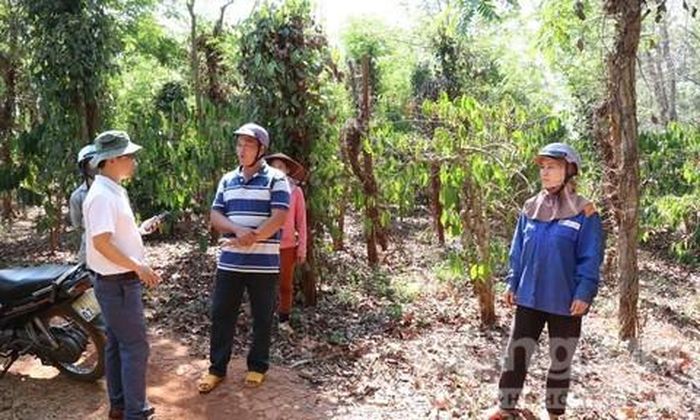 Dù đã trải qua nhiều cuộc họp nhưng đến nay, ngườ dân chưa được đền bù