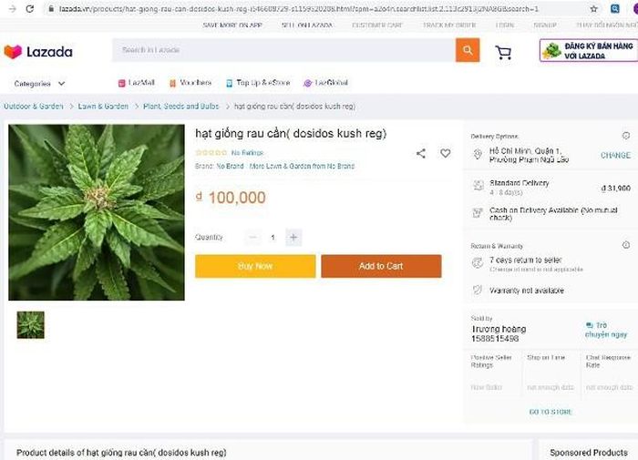 Lazada.vn cũng có shop bán hạt giống cần sa, tên tài khoản bán trùng với tên tài khoản đăng trên Youtube (ảnh chụp lúc 13h30 ngày 11-5)