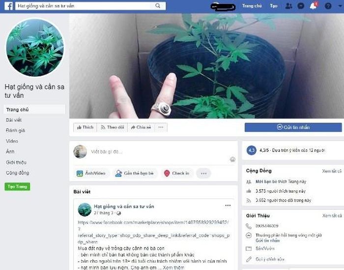Một fanpage khác bán hạt cần sa hoạt động từ lâu, có lượng người theo dõi rất lớn (ảnh chụp lúc 13h10 ngày 11-5)