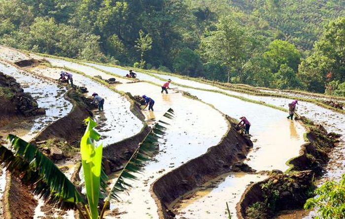 Người dân làm ruộng vụ mới.