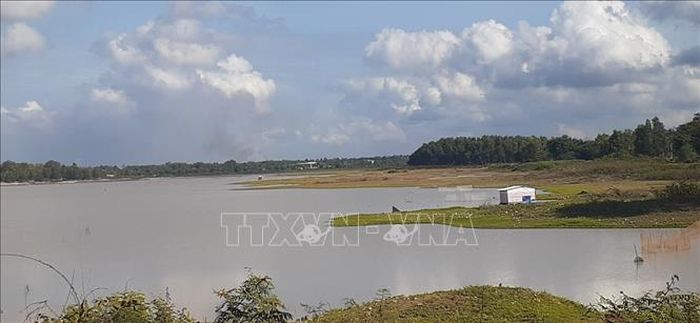 Hồ chứa nước Châu Pha, thị xã Phú Mỹ, rộng khoảng 250ha cũng đang rơi vào tình trạng khô cạn.
