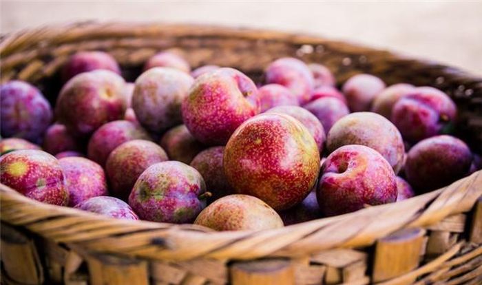  Nước mận có vị chua nhẹ, thanh mát, mùi thơm nhẹ, giúp giải nhiệt rất tốt trong những ngày hè nóng nực, oi nồng. 