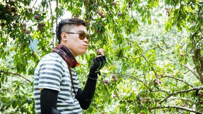  Cảm giác về cuộc sống trong lành, chất phác, yên bình, vui vẻ ngập tràn. 