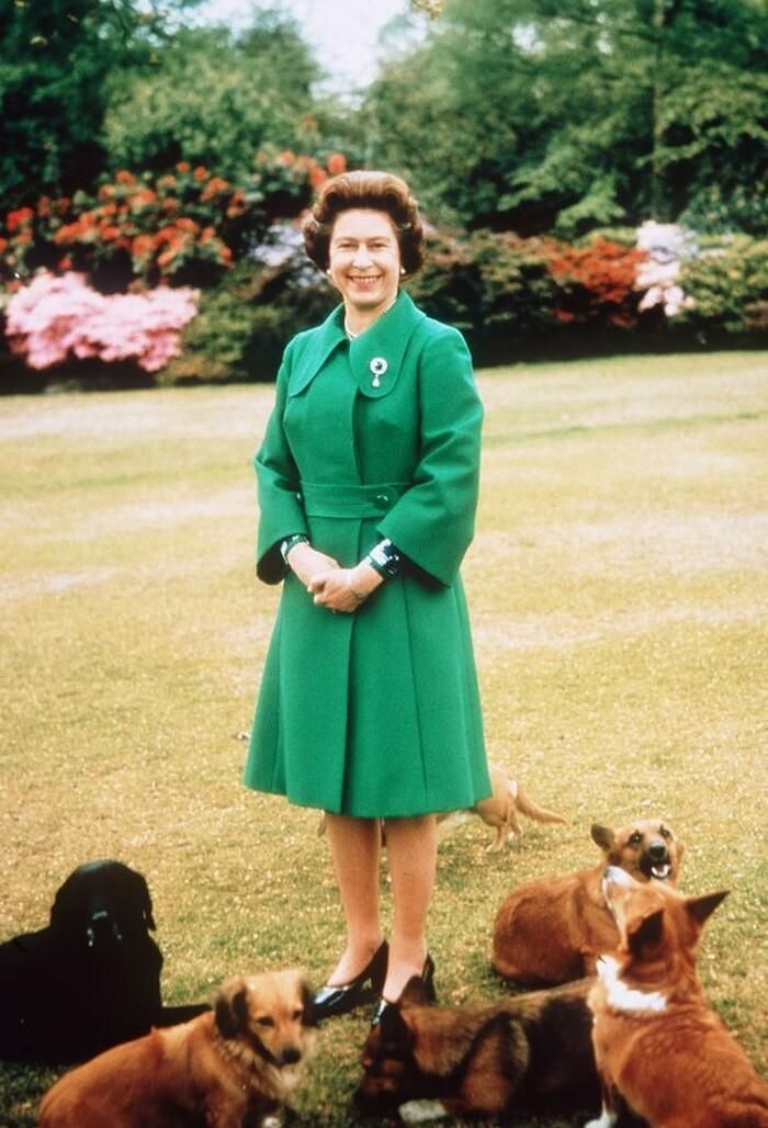 Nữ hoàng Elizabeth II cũng được công nhận là nữ hoàng nhiều tuổi nhất Vương quốc Anh.