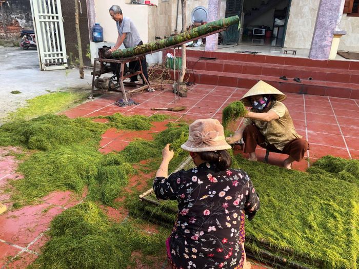 Sợi thuốc được thái nhỏ hơn sợi miến dong, phơi trên những tấm phên cho mau khô.